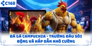 Đá Gà Campuchia - Trường Đấu Sôi Động Và Hấp Dẫn Khó Cưỡng